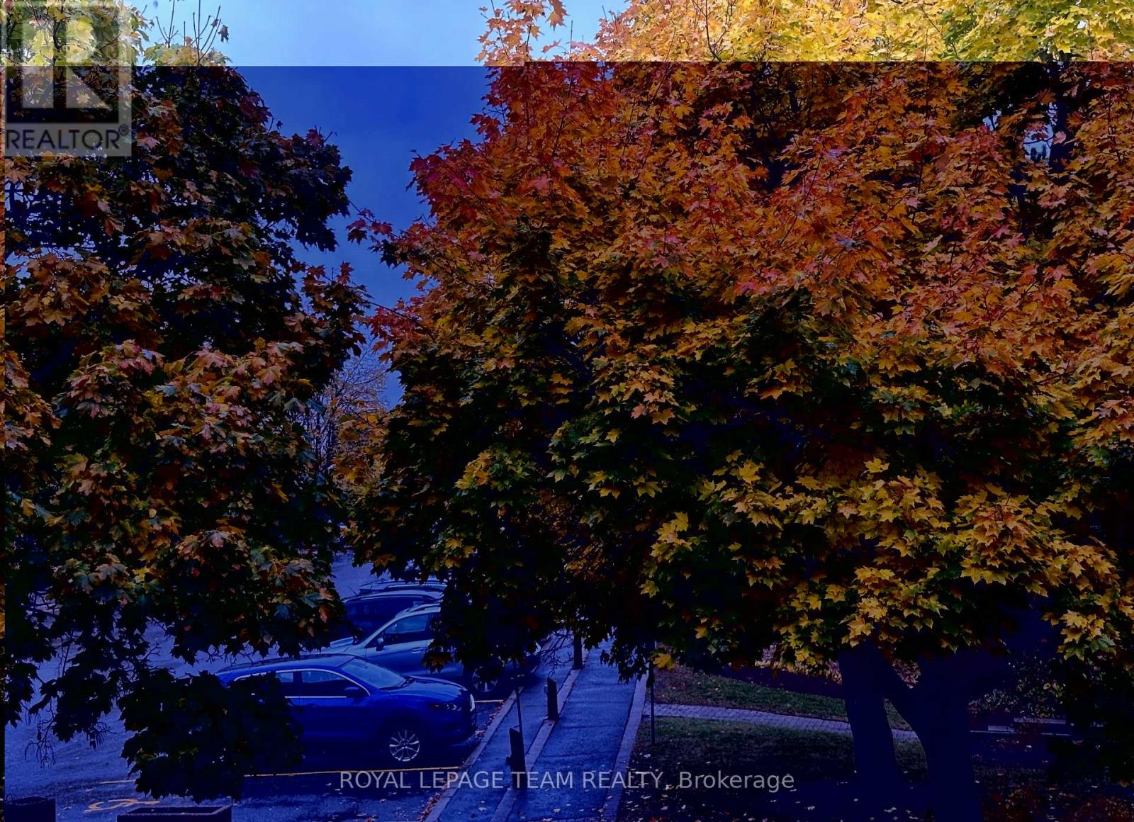 200 - 260 Brittany Drive, Ottawa, Ontario  K1K 4M2 - Photo 8 - X12475328