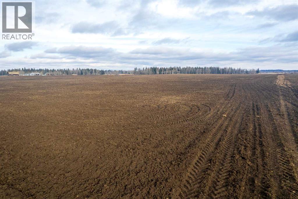 Range Road 241, Rural Westlock County, Alberta  T0G 2J0 - Photo 4 - A2252165