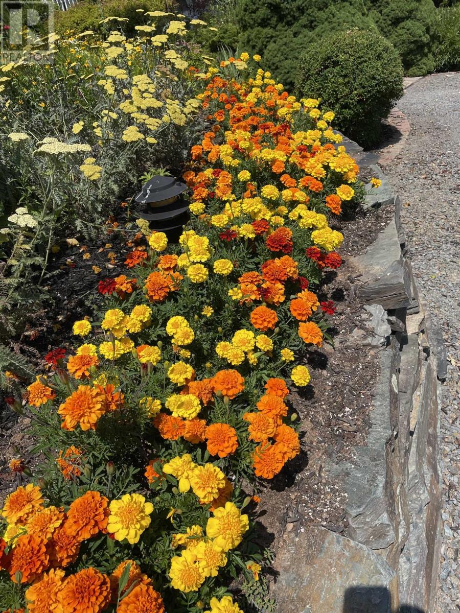 116 Princes Inlet Drive, Martins Brook, Nova Scotia  B0J 2C0 - Photo 39 - 202507897