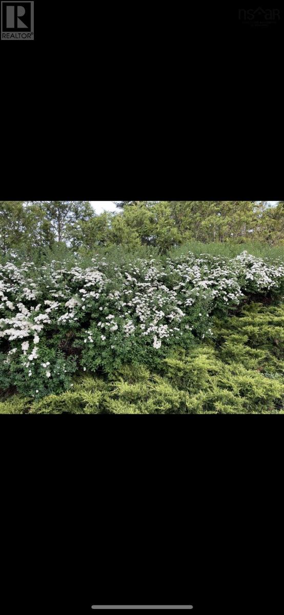 116 Princes Inlet Drive, Martins Brook, Nova Scotia  B0J 2C0 - Photo 41 - 202507897