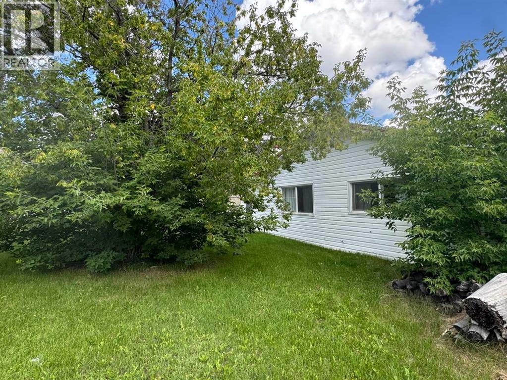 22610 10 Avenue, Hillcrest, Alberta  T0K 1C0 - Photo 4 - A2244877