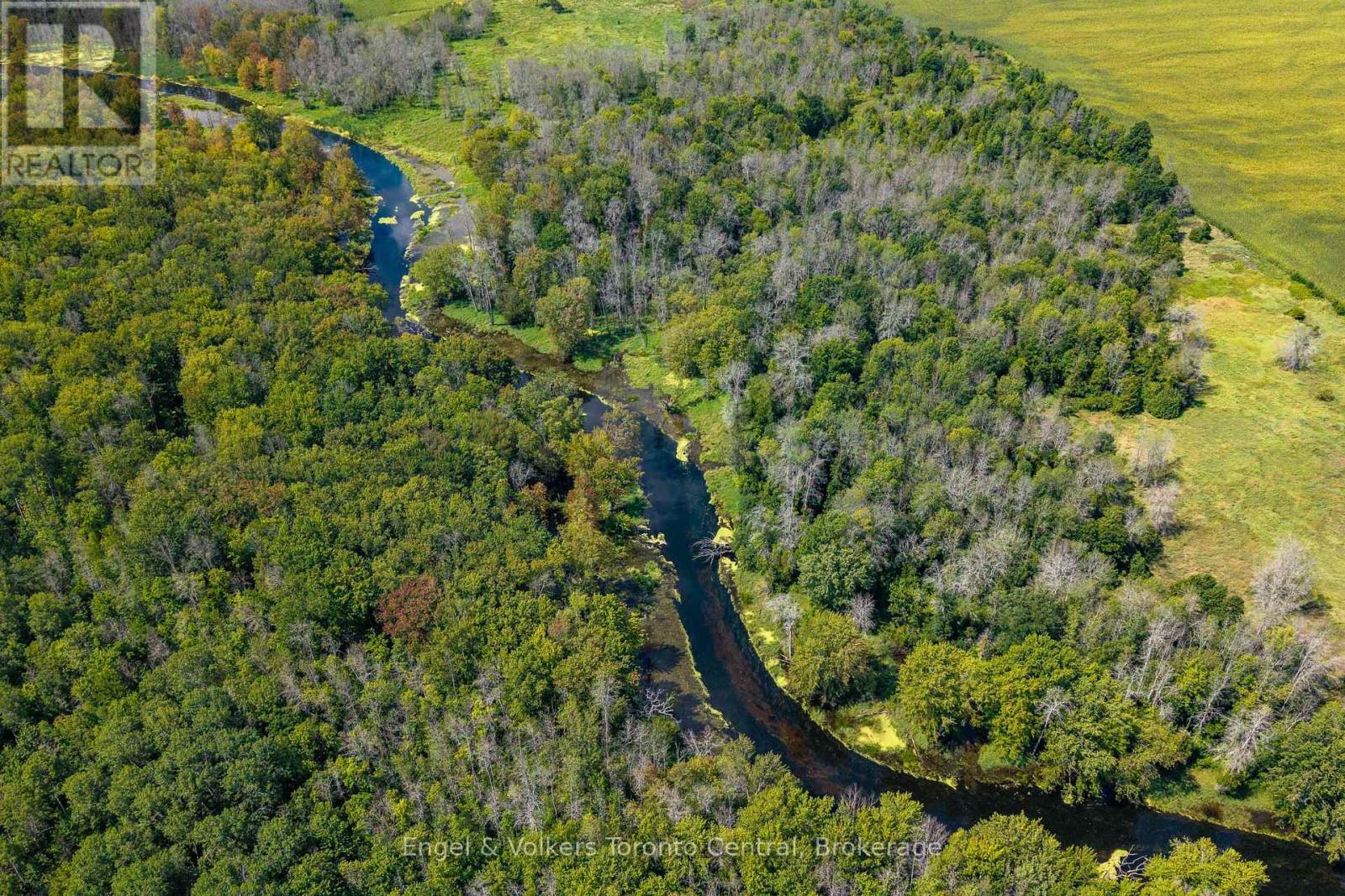 727070 Side Rd 22c Side Road W, Grey Highlands, Ontario  N0H 1J0 - Photo 6 - X12493710