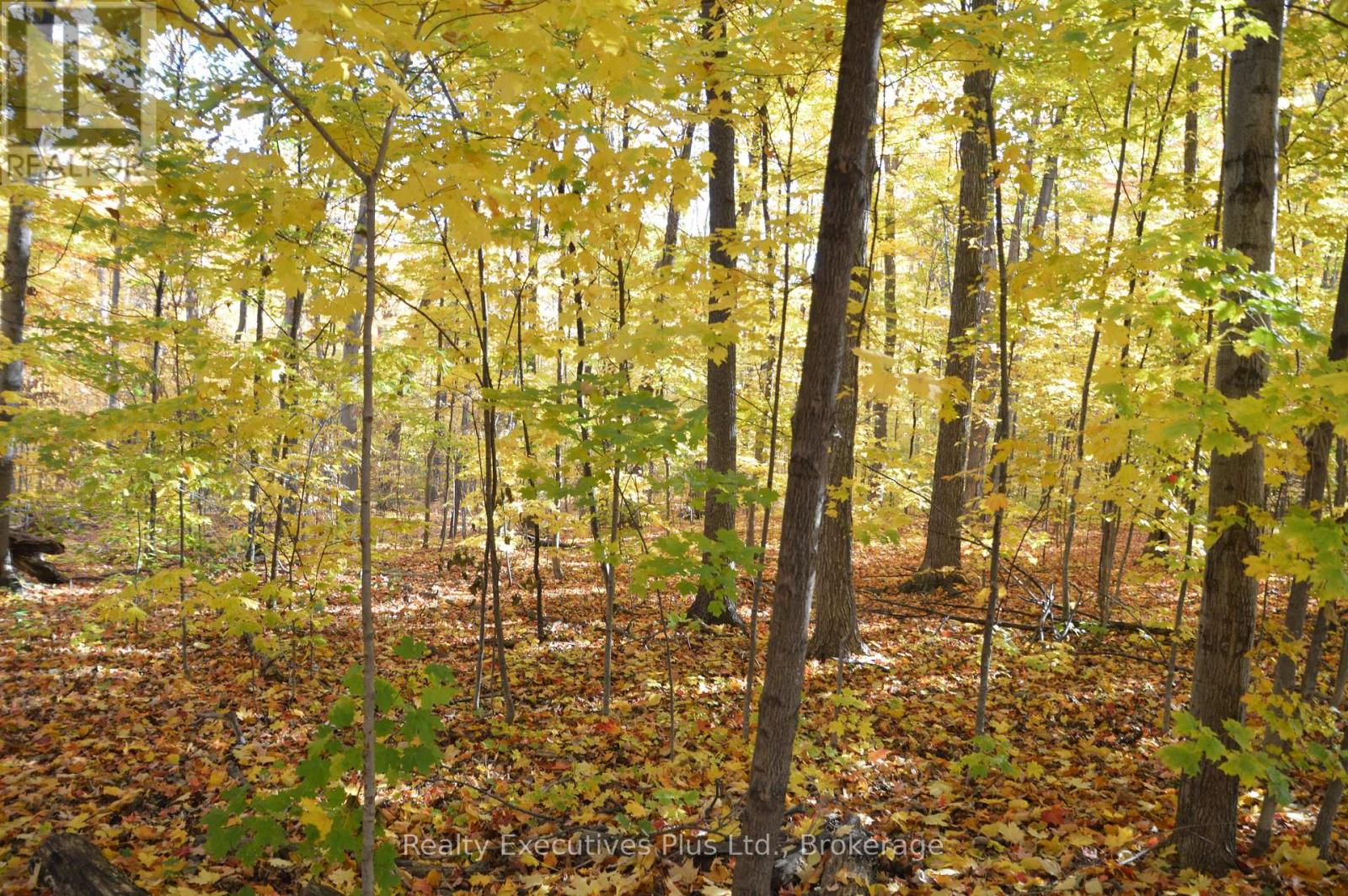 42 - 4200 Kilmer Drive W, Burlington, Ontario  L7M 4Y3 - Photo 48 - W12493672