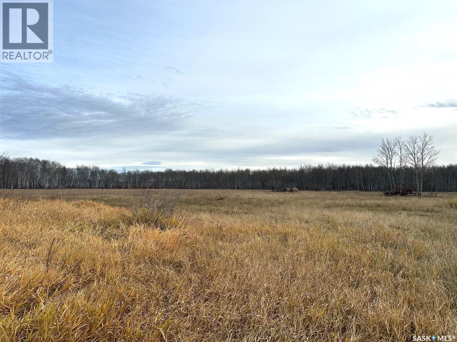 Kezema -Erwood, Hudson Bay Rm No. 394, Saskatchewan  S0E 0Y0 - Photo 10 - SK022045