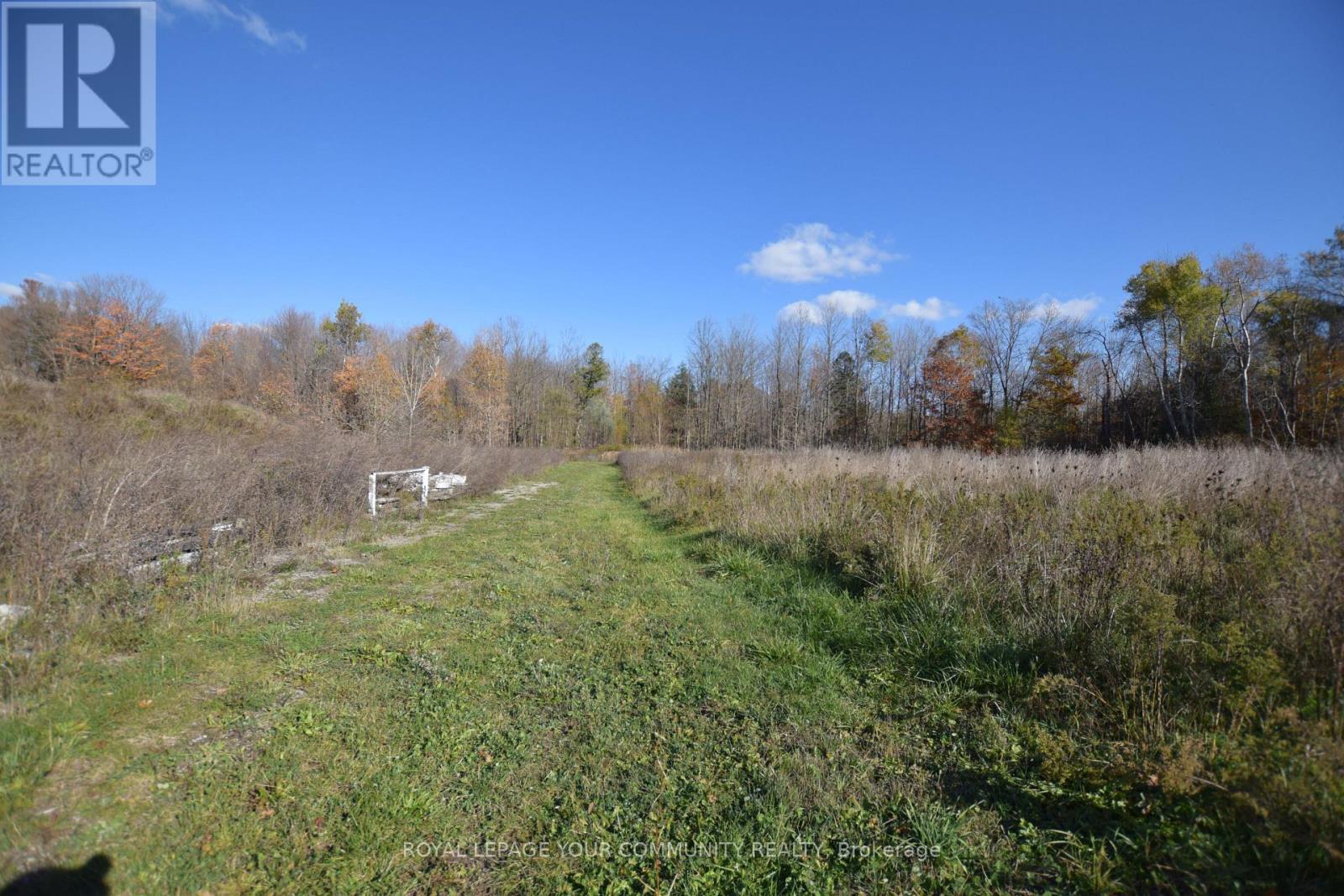 1973 10th Side Road, New Tecumseth, Ontario  L3Z 2A4 - Photo 24 - N12493714