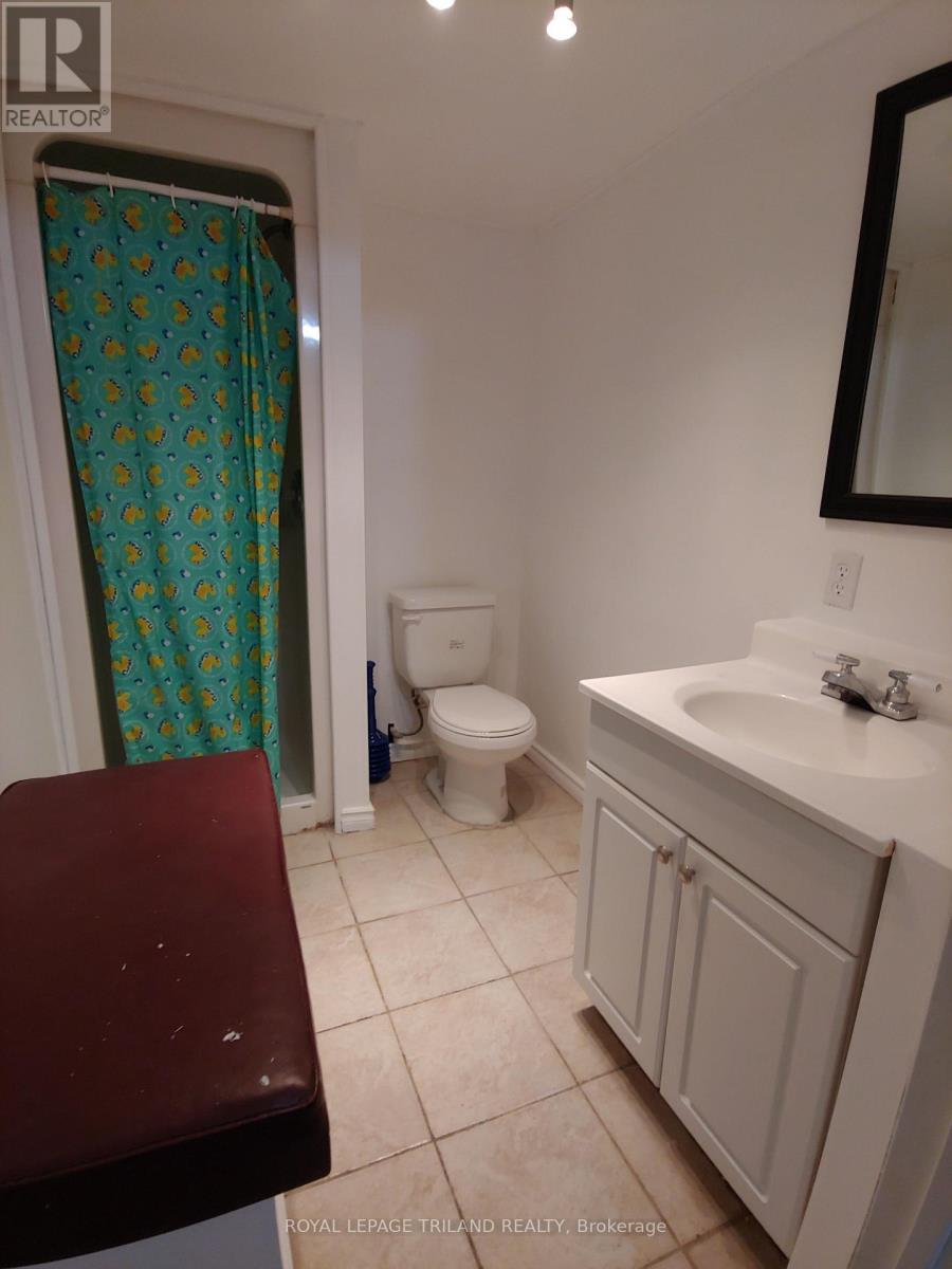 1004 Lawson Road, London North, Ontario  N6G 3M2 - Photo 20 - X12493798