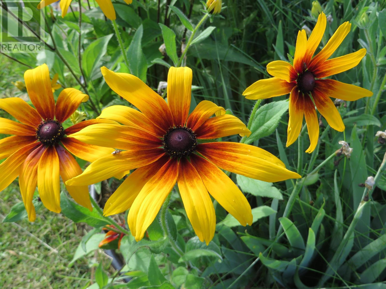 1897 Lavallee Rd S, Devlin, Ontario  P0W 1C0 - Photo 34 - TB253290