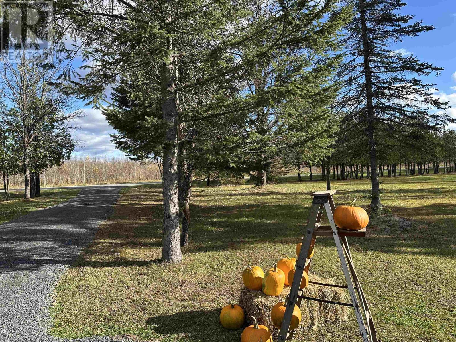 1897 Lavallee Rd S, Devlin, Ontario  P0W 1C0 - Photo 38 - TB253290