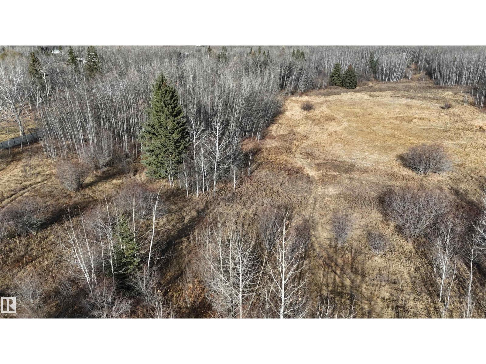 80 50247 Range Road 232 Scottsdale Estates Rd, Rural Leduc County, Alberta  T4X 0K9 - Photo 7 - E4464109