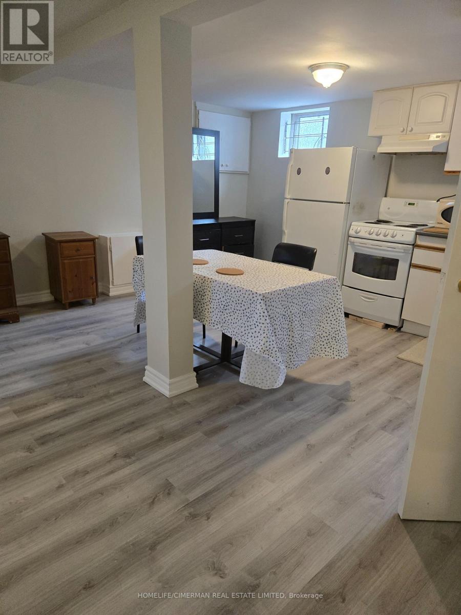 Basement - 14 Rensburg Drive, Toronto, Ontario  M1K 3A3 - Photo 4 - E12493818