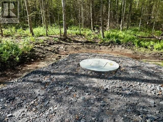 1394 Bartlett Lake Road, Ryerson, Ontario  P0A 1Y0 - Photo 13 - X12493834