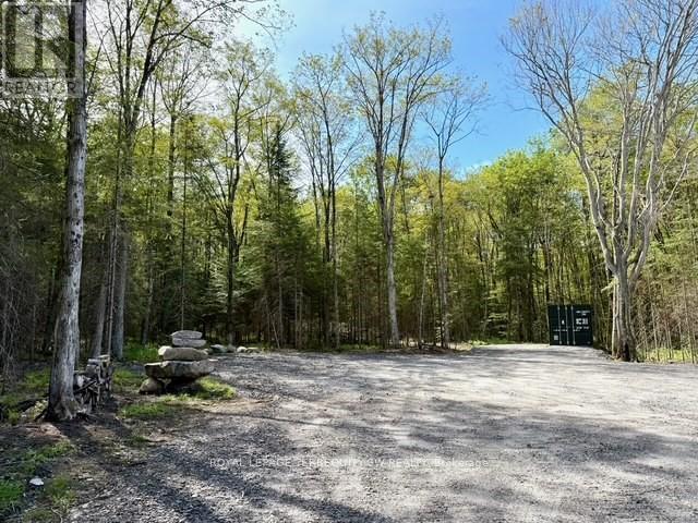 1394 Bartlett Lake Road, Ryerson, Ontario  P0A 1Y0 - Photo 14 - X12493834