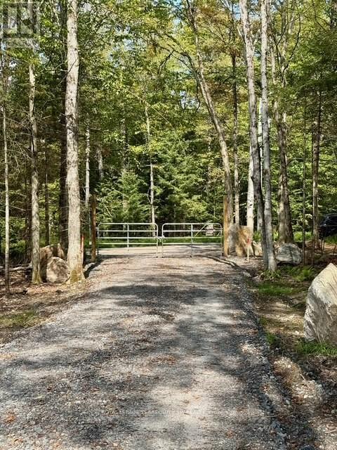 1394 Bartlett Lake Road, Ryerson, Ontario  P0A 1Y0 - Photo 19 - X12493834