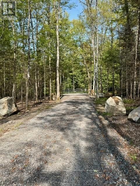 1394 Bartlett Lake Road, Ryerson, Ontario  P0A 1Y0 - Photo 20 - X12493834