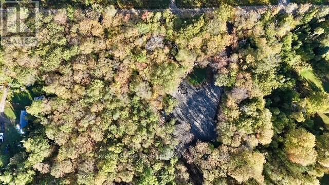 1394 Bartlett Lake Road, Ryerson, Ontario  P0A 1Y0 - Photo 3 - X12493834