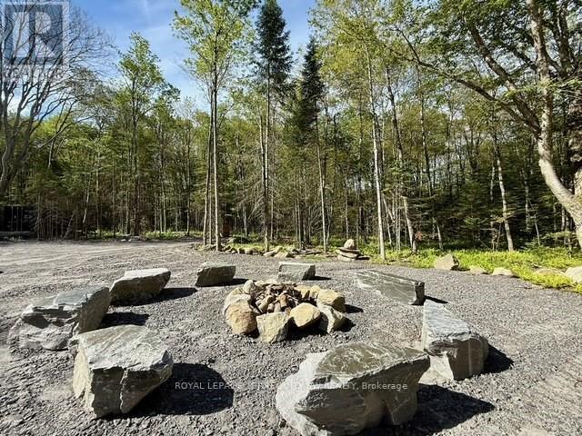 1394 Bartlett Lake Road, Ryerson, Ontario  P0A 1Y0 - Photo 5 - X12493834