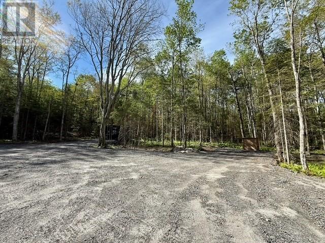 1394 Bartlett Lake Road, Ryerson, Ontario  P0A 1Y0 - Photo 6 - X12493834