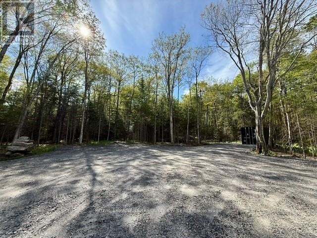 1394 Bartlett Lake Road, Ryerson, Ontario  P0A 1Y0 - Photo 7 - X12493834