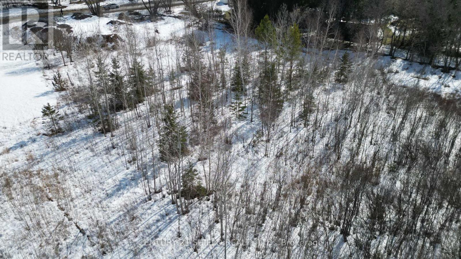 21963 Sauve Street, North Glengarry, Ontario  K0B 1H0 - Photo 5 - X12493936