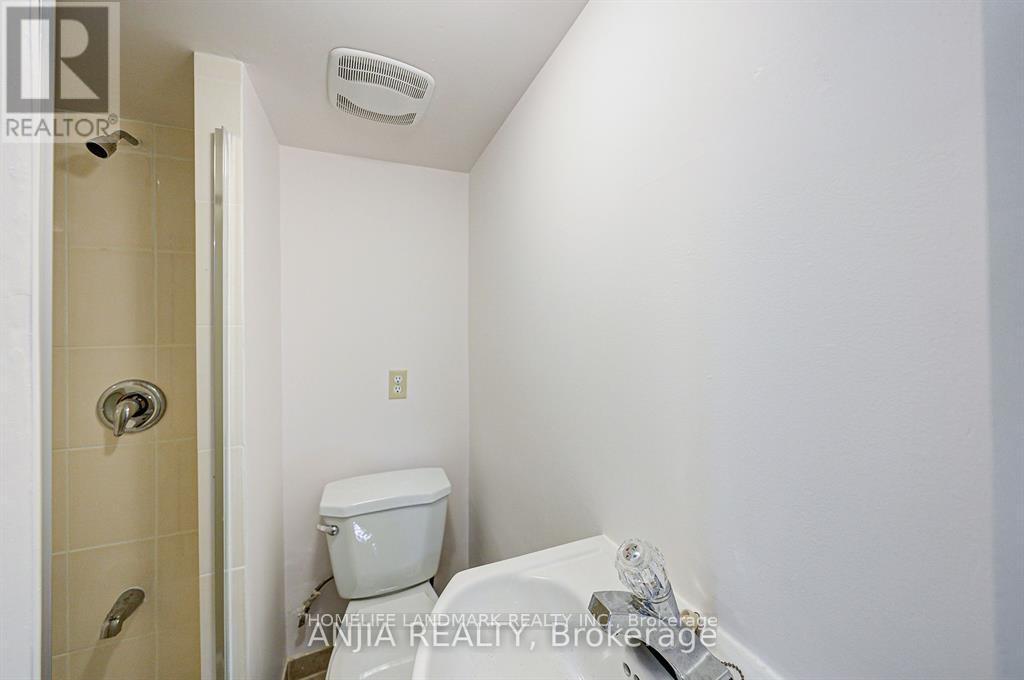 Basement - 203 Milliken Meadows Drive, Markham, Ontario  L3R 0V9 - Photo 11 - N12493886