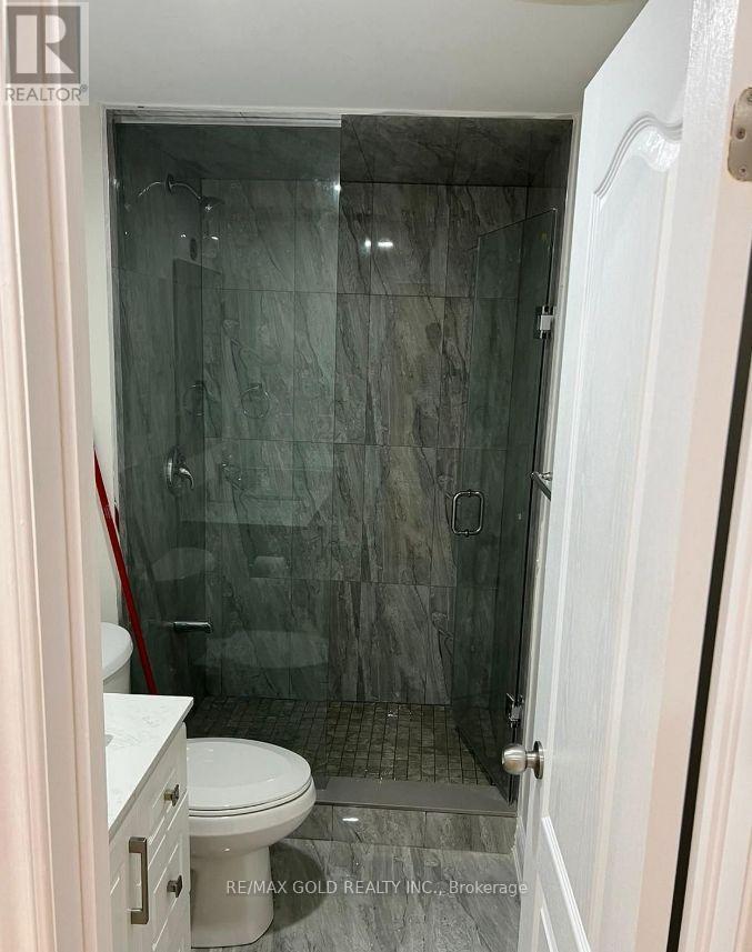 Bsmt - 10 Brent Stephens Way, Brampton, Ontario  L7A 0B6 - Photo 7 - W12478377