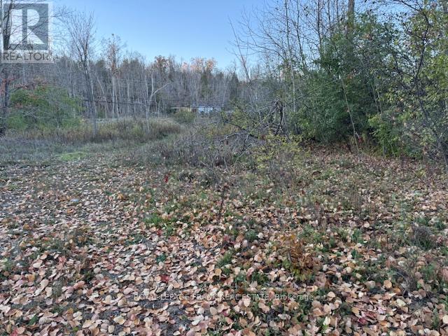 Pt Lt 20 Fire Route 121, Trent Lakes, Ontario  K0M 1A0 - Photo 8 - X12493644