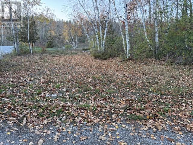 Pt Lt 20 Fire Route 121, Trent Lakes, Ontario  K0M 1A0 - Photo 6 - X12493644