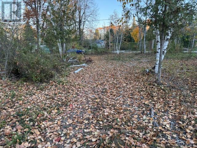 Pt Lt 20 Fire Route 121, Trent Lakes, Ontario  K0M 1A0 - Photo 9 - X12493644