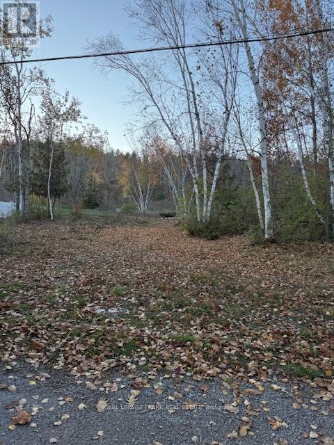 Pt Lt 20 Fire Route 121, Trent Lakes, Ontario  K0M 1A0 - Photo 5 - X12493644