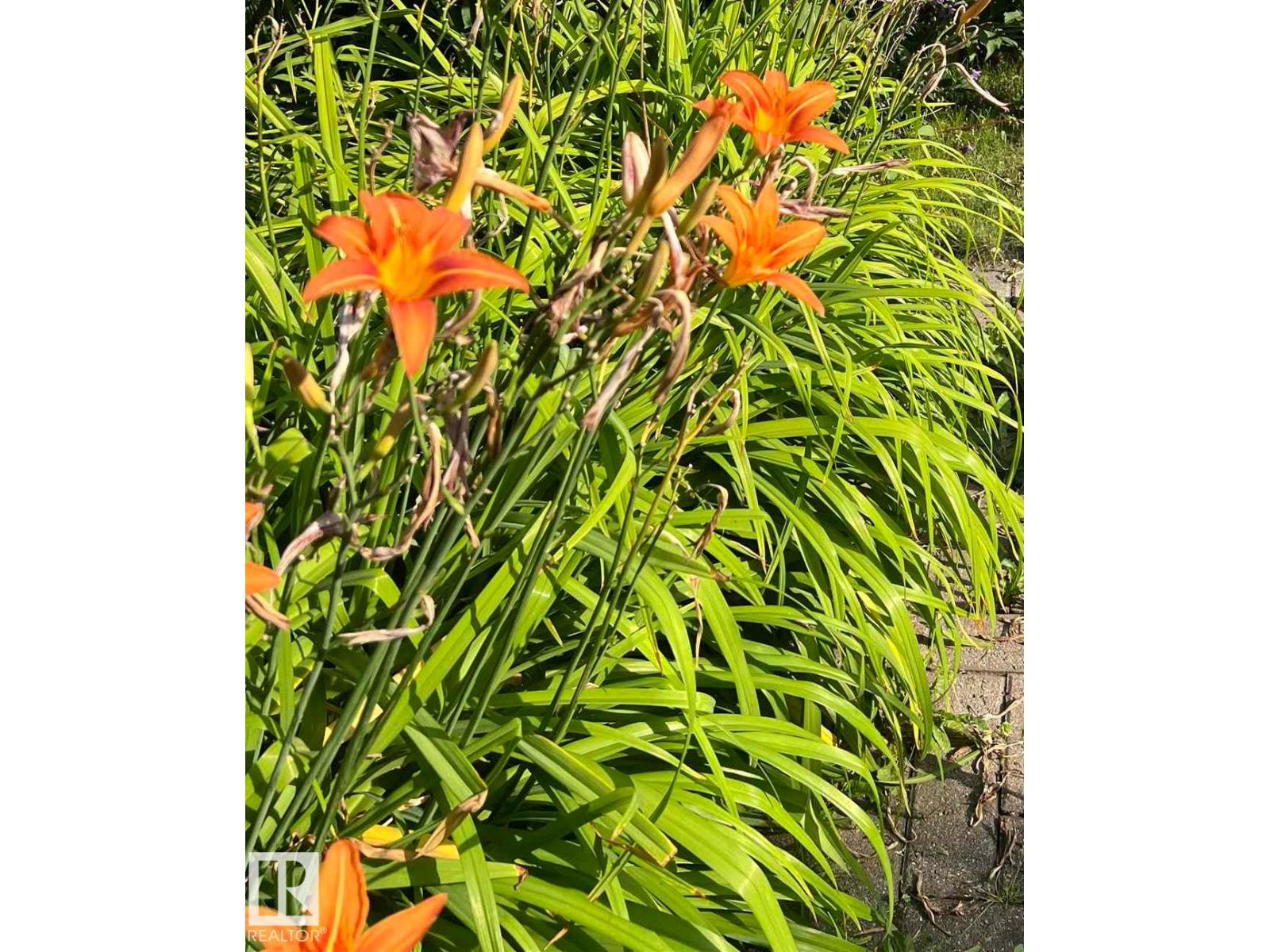 19 LOWE AV, Fort Saskatchewan, Alberta