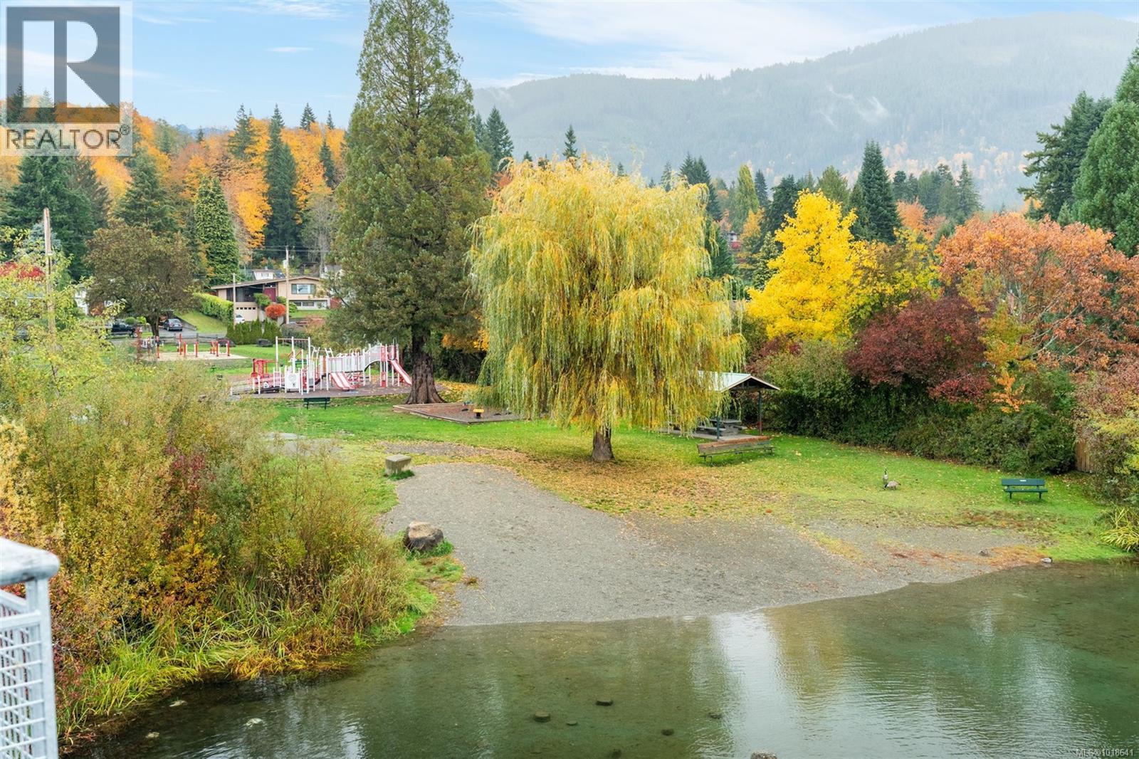 50 Park Rd, Lake Cowichan, British Columbia  V0R 2G0 - Photo 3 - 1018641