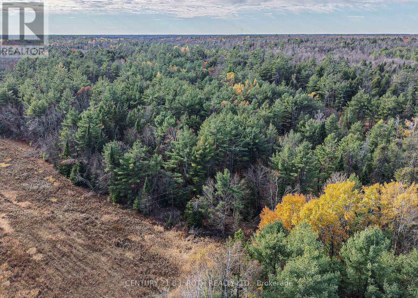 1036 Hopkins Road, Gravenhurst, Ontario  P1P 1R3 - Photo 10 - X12494144