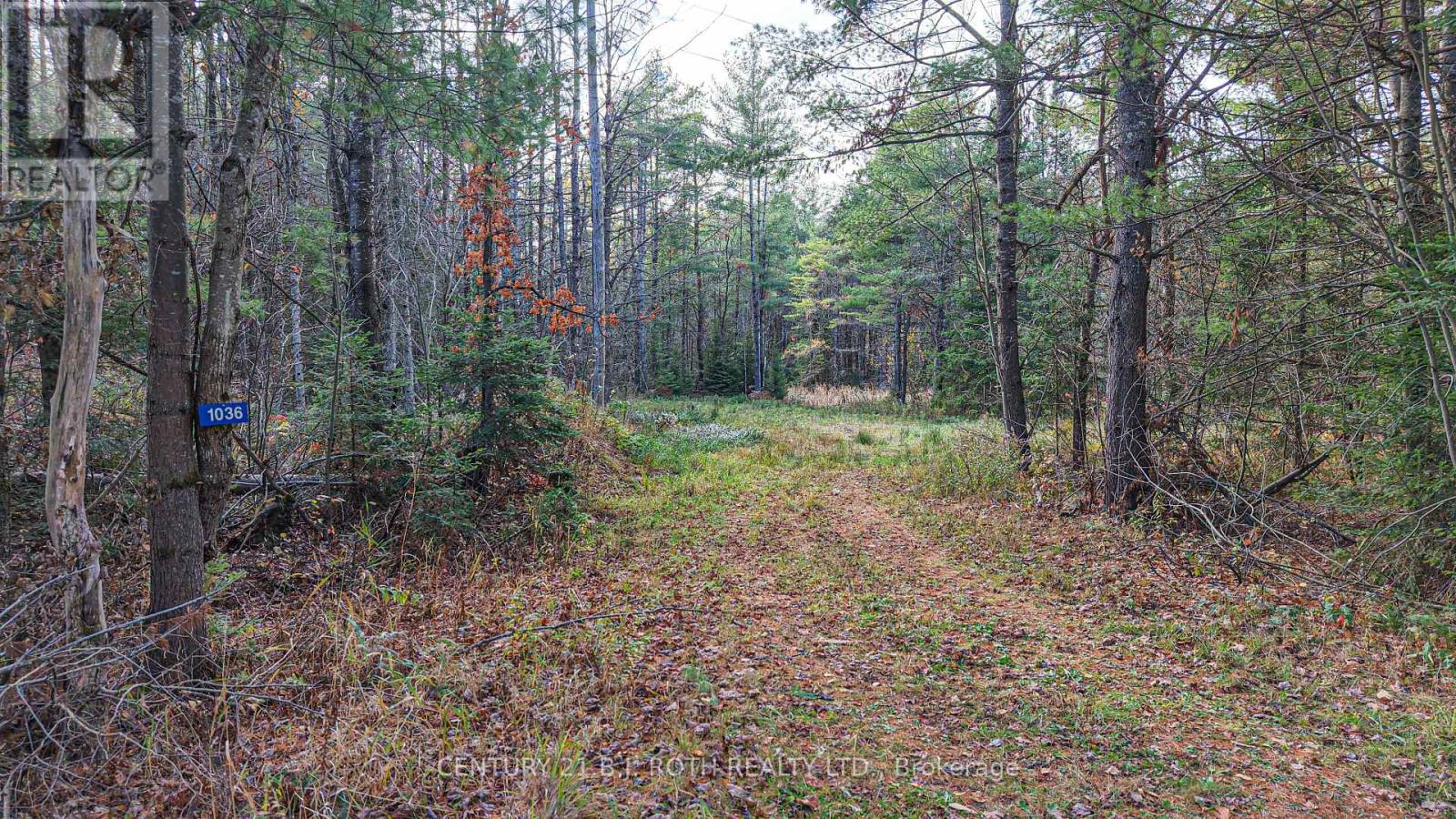 1036 Hopkins Road, Gravenhurst, Ontario  P1P 1R3 - Photo 11 - X12494144