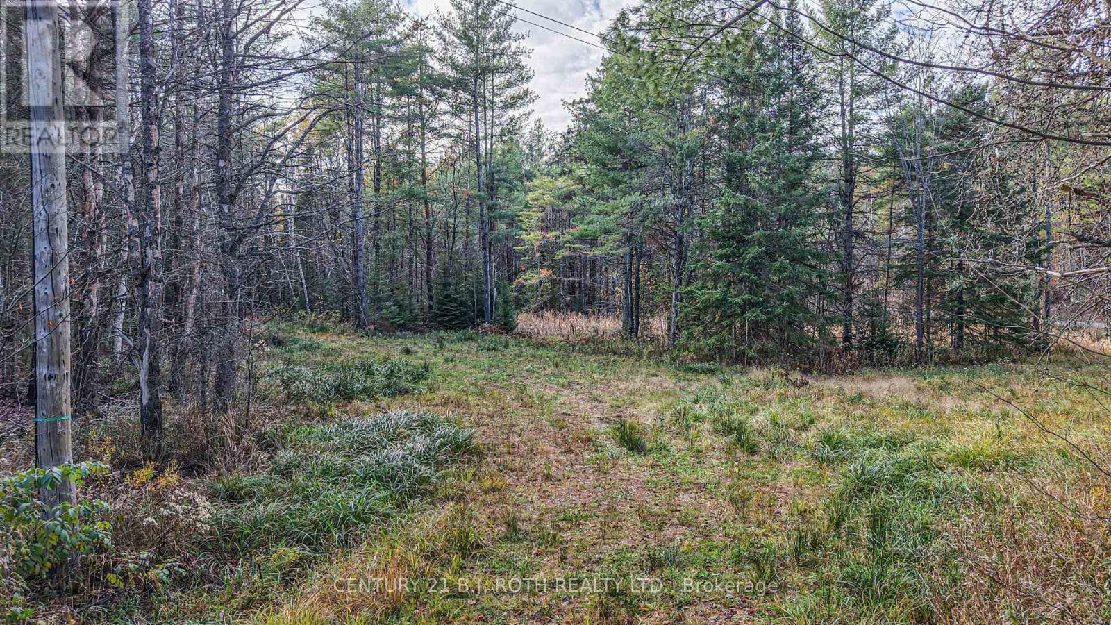 1036 Hopkins Road, Gravenhurst, Ontario  P1P 1R3 - Photo 12 - X12494144