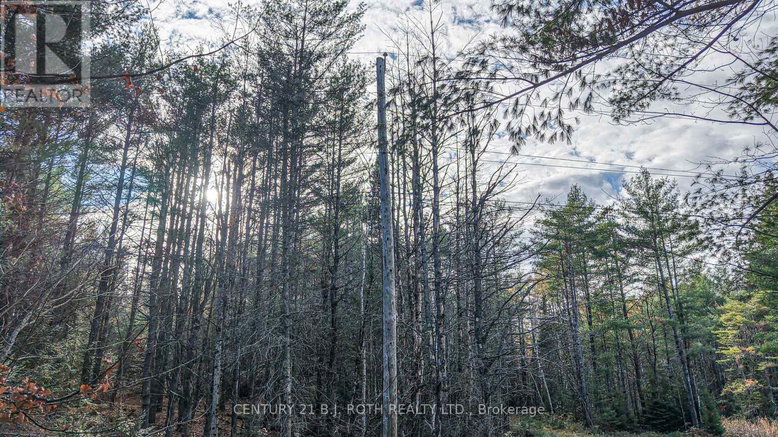 1036 Hopkins Road, Gravenhurst, Ontario  P1P 1R3 - Photo 13 - X12494144