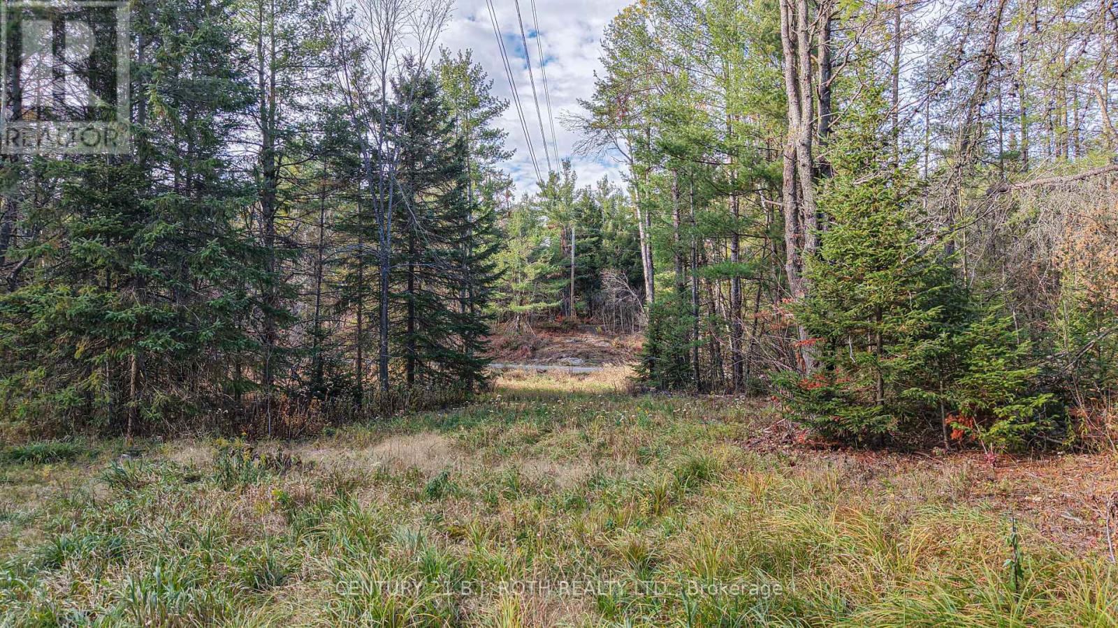 1036 Hopkins Road, Gravenhurst, Ontario  P1P 1R3 - Photo 14 - X12494144