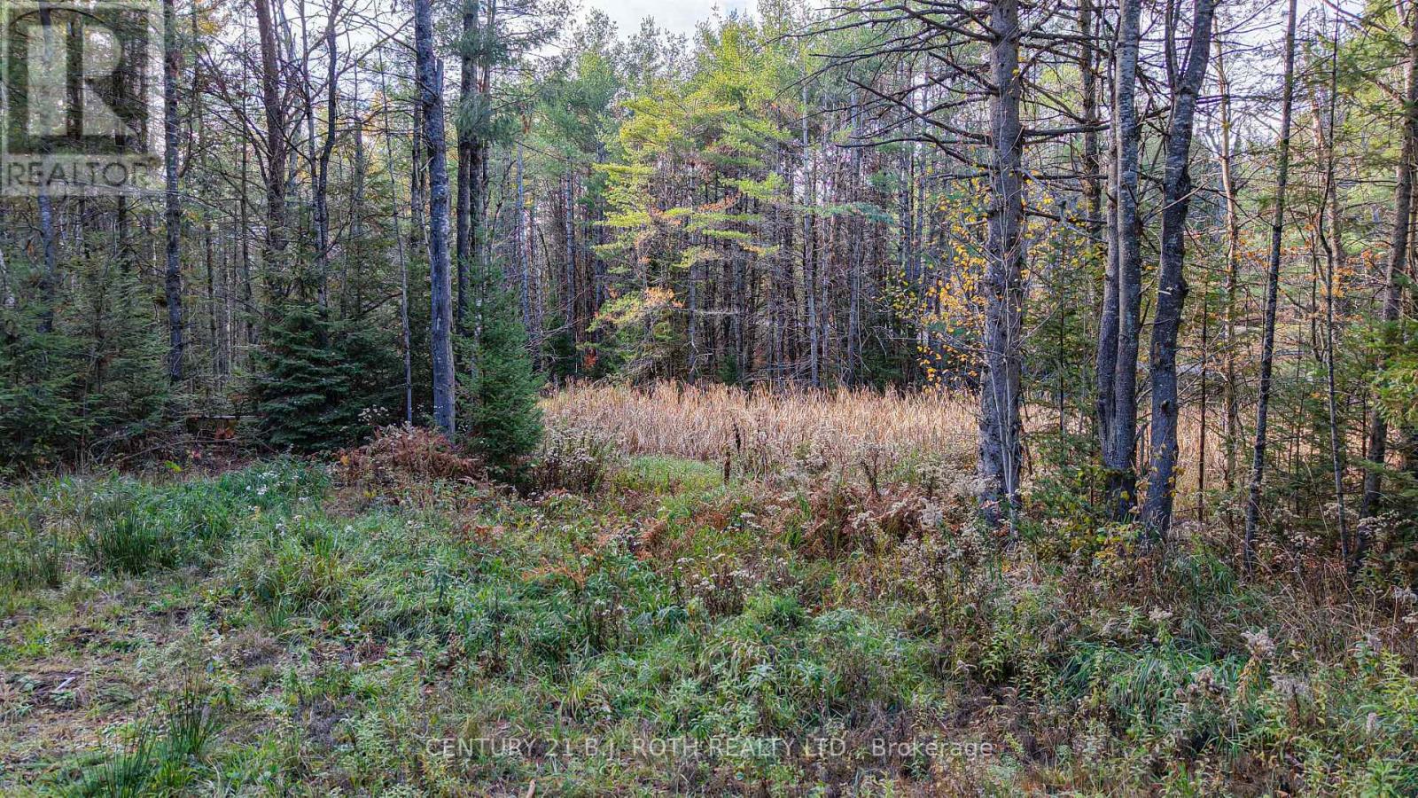 1036 Hopkins Road, Gravenhurst, Ontario  P1P 1R3 - Photo 15 - X12494144