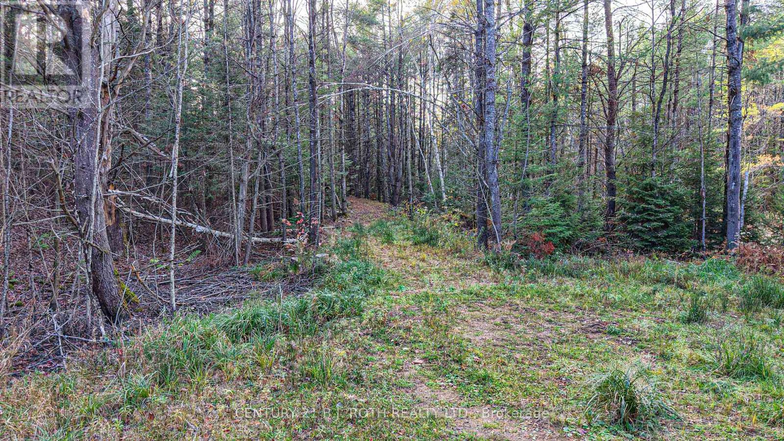 1036 Hopkins Road, Gravenhurst, Ontario  P1P 1R3 - Photo 16 - X12494144