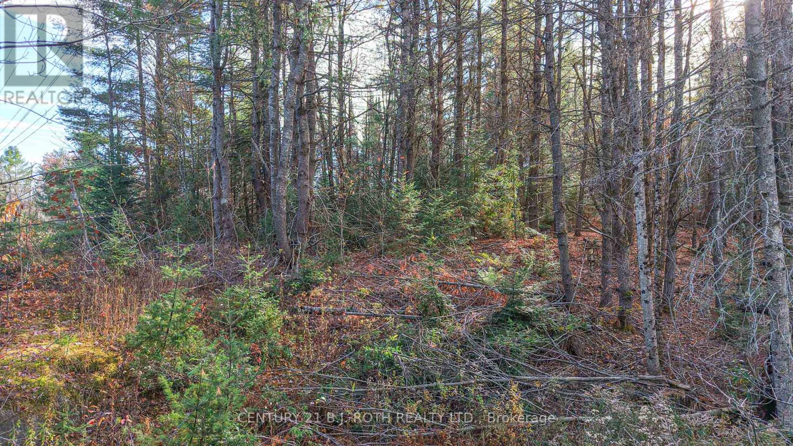 1036 Hopkins Road, Gravenhurst, Ontario  P1P 1R3 - Photo 17 - X12494144