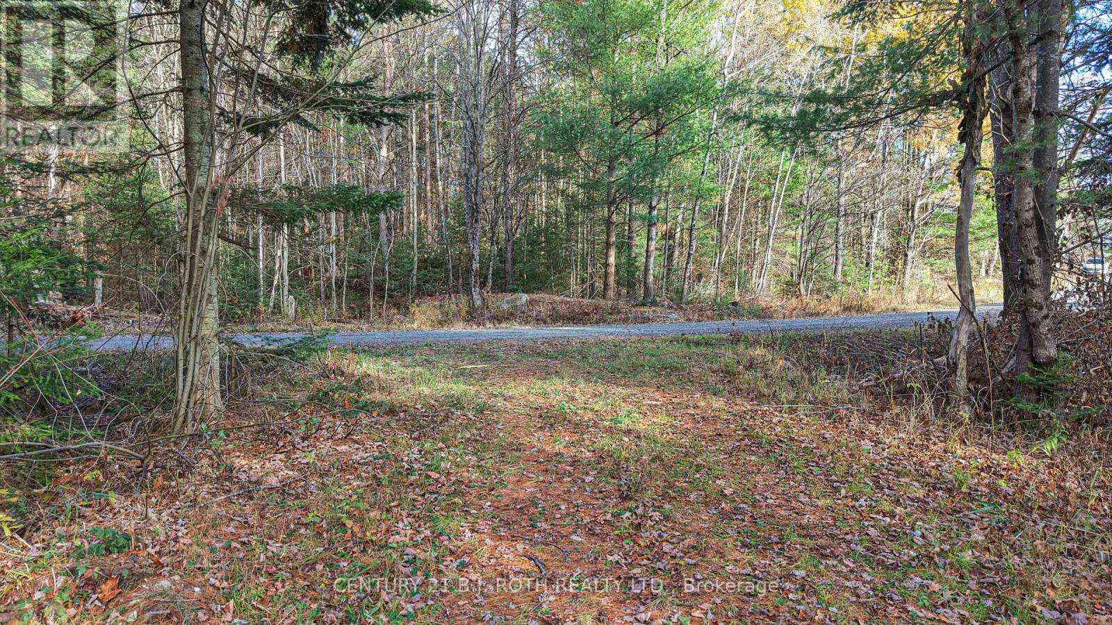 1036 Hopkins Road, Gravenhurst, Ontario  P1P 1R3 - Photo 18 - X12494144