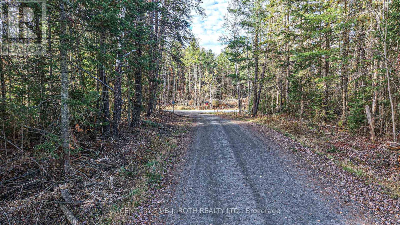 1036 Hopkins Road, Gravenhurst, Ontario  P1P 1R3 - Photo 19 - X12494144