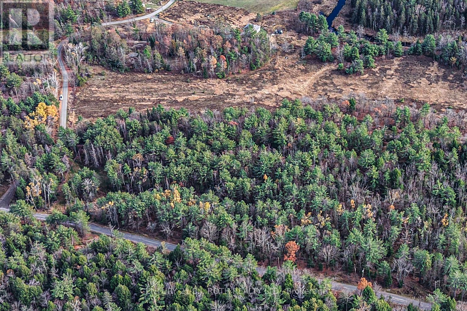 1036 Hopkins Road, Gravenhurst, Ontario  P1P 1R3 - Photo 5 - X12494144