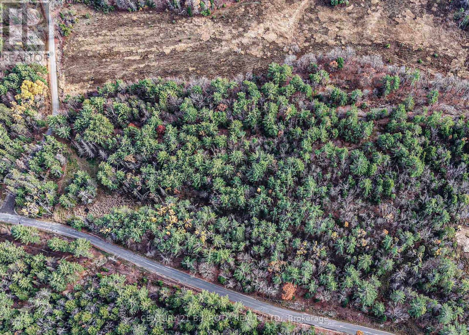 1036 Hopkins Road, Gravenhurst, Ontario  P1P 1R3 - Photo 6 - X12494144