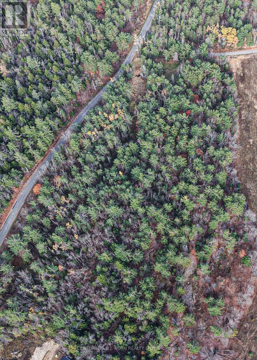 1036 Hopkins Road, Gravenhurst, Ontario  P1P 1R3 - Photo 7 - X12494144