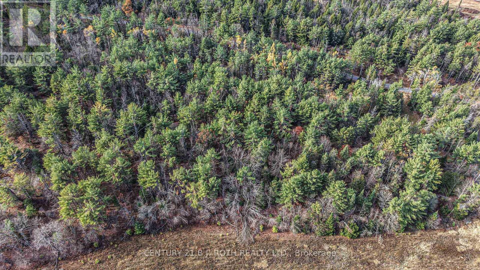 1036 Hopkins Road, Gravenhurst, Ontario  P1P 1R3 - Photo 8 - X12494144