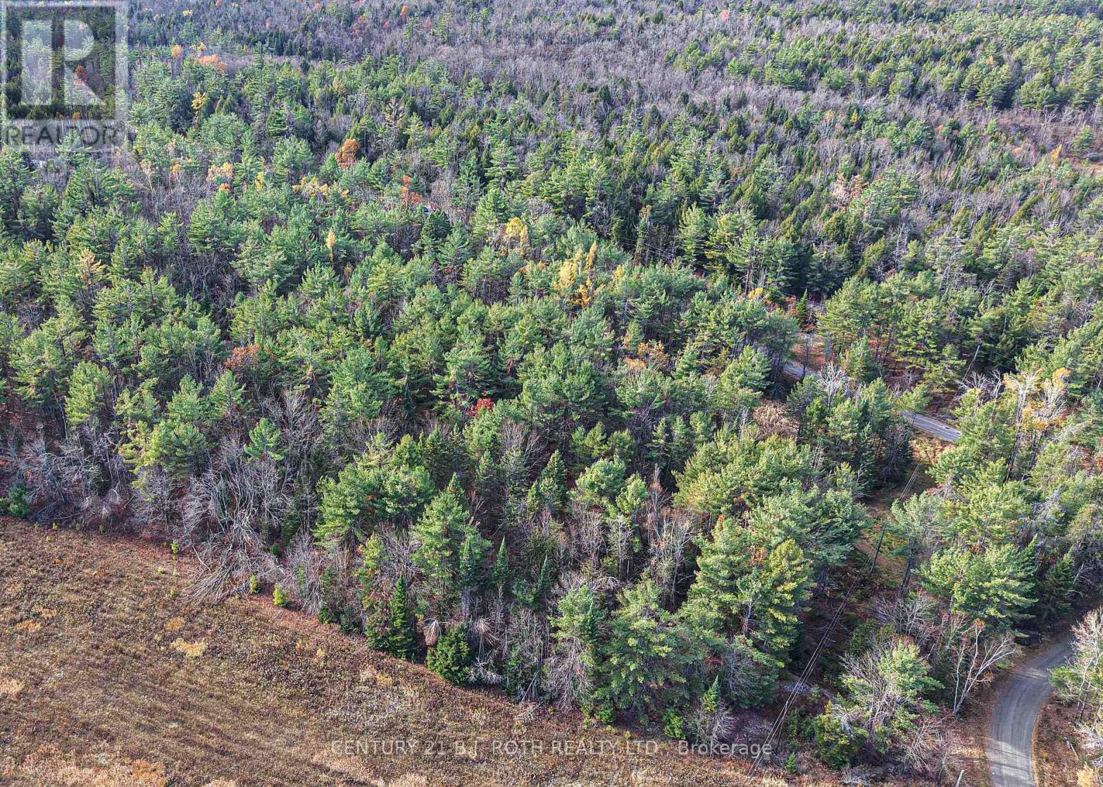 1036 Hopkins Road, Gravenhurst, Ontario  P1P 1R3 - Photo 9 - X12494144