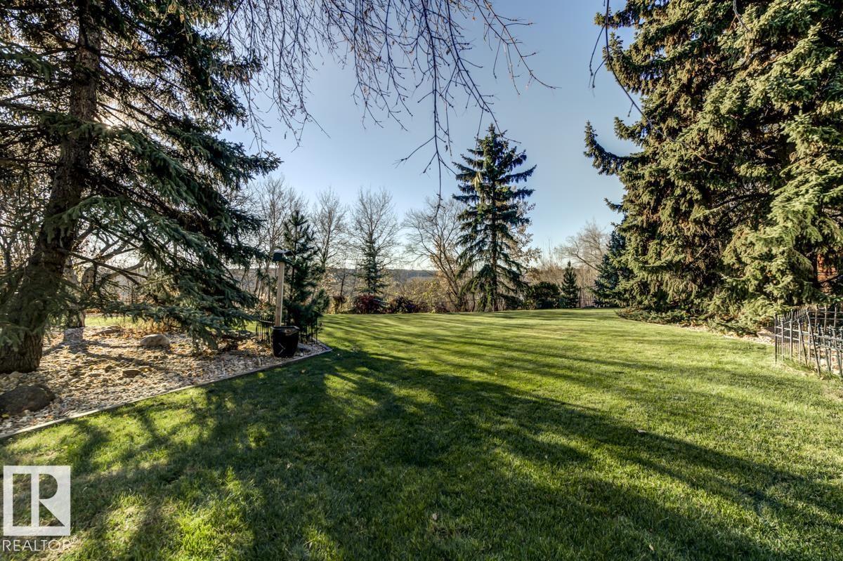 15415 Rio Terrace Dr Nw, Edmonton, Alberta  T5R 3L1 - Photo 60 - E4464131