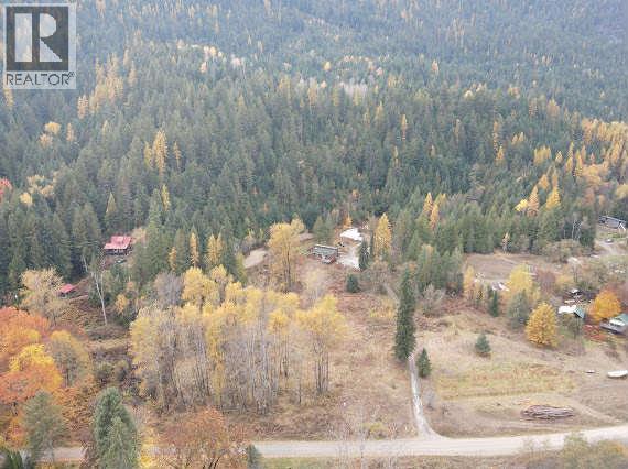 2349 Slocan Valley West Road, Slocan Park, British Columbia  V0G 2G0 - Photo 3 - 10366799