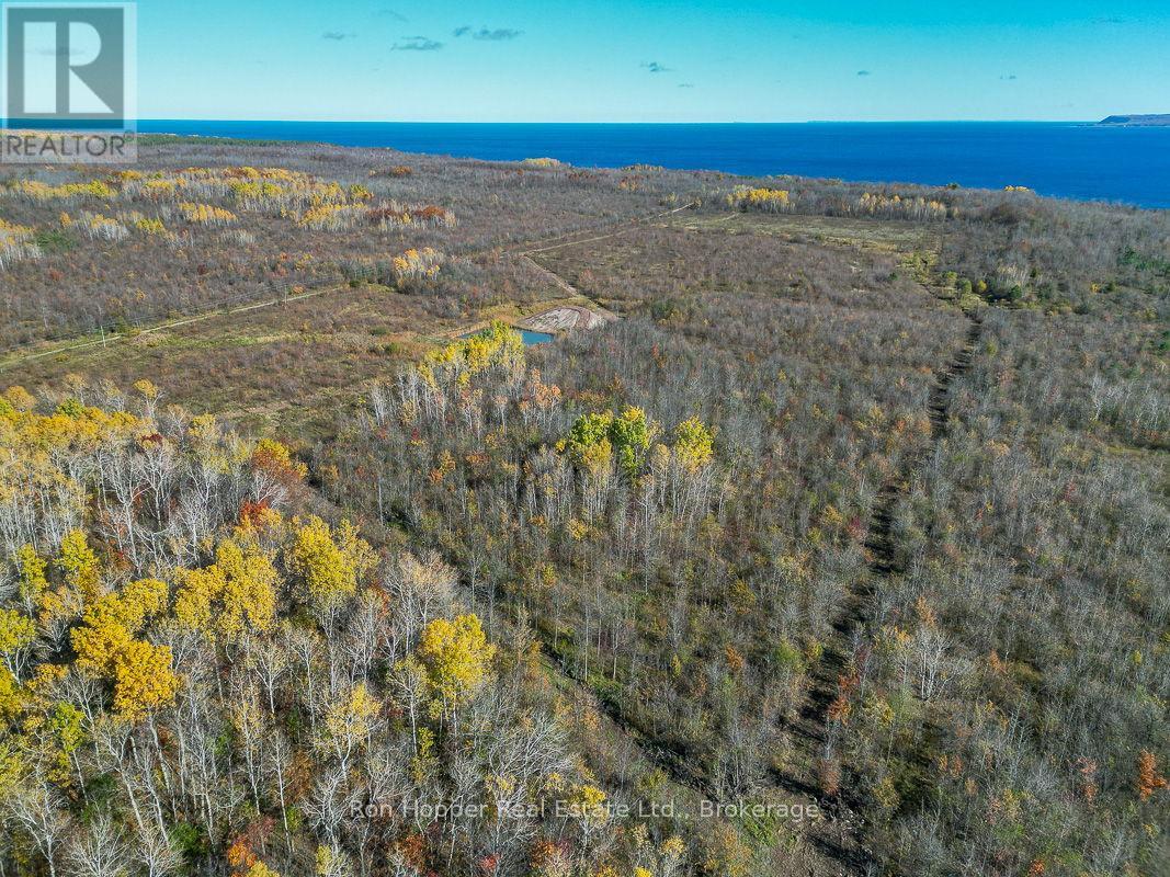 Pt Lt 19 Conc. 20 Concession, Georgian Bluffs, Ontario  N0H 1S0 - Photo 5 - X12433832