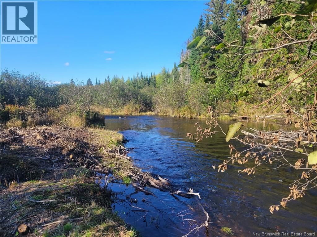 400 Bellefond Road, Bellefond, New Brunswick  E1V 4T6 - Photo 6 - NB129404